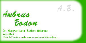 ambrus bodon business card